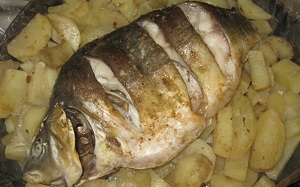 Вкусные рецепты блюд из рыбы