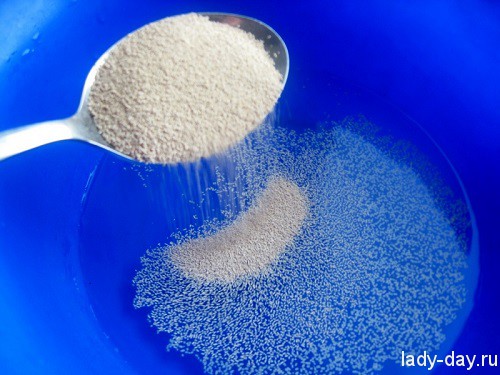 Пицца с шампиньонами