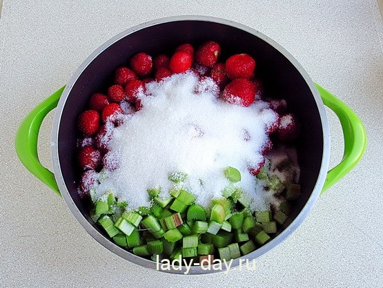  ревеня и клубники 