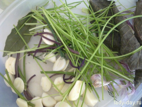 Рецепт соления кабачков