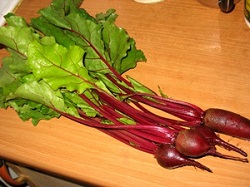 Вкусные рецепты первых блюд