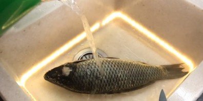 Ужин на всю семью (рыба с салатом) - фото шаг 1