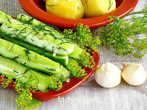 Ogurtsyi-Dorozhnyie-itog-1-500x375