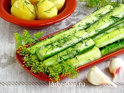 Огурцы Дорожные (итог 3)