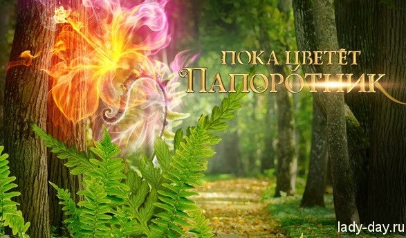 папоротник