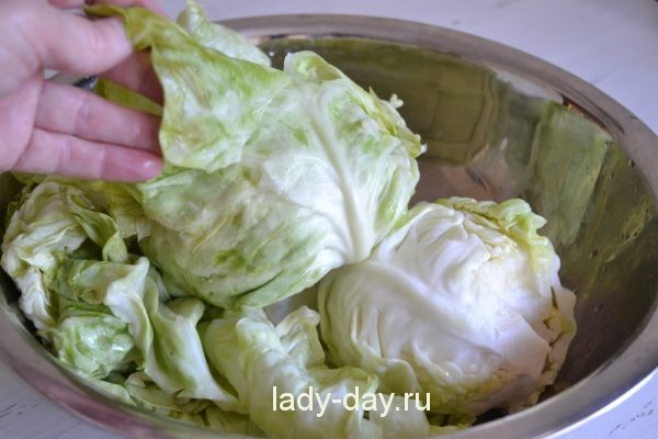 капуста