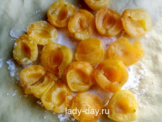 абрикос