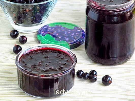Джем из черной смородины рецепт на зиму