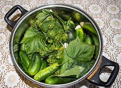 Консервирование овощей. Заготовка огурцов на зиму