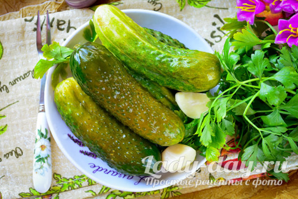 малосольные огурцы