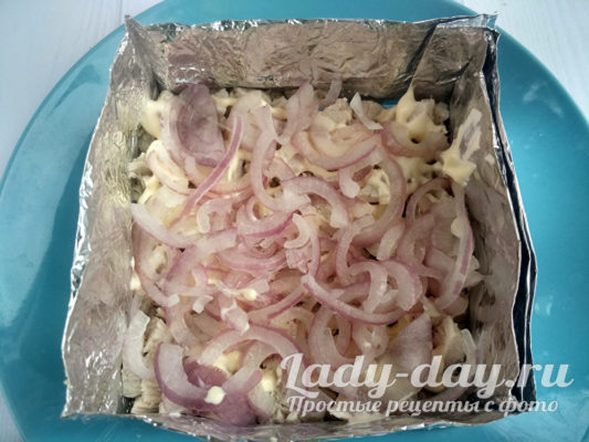 луковый слой