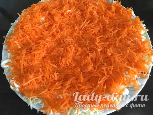 слой моркови