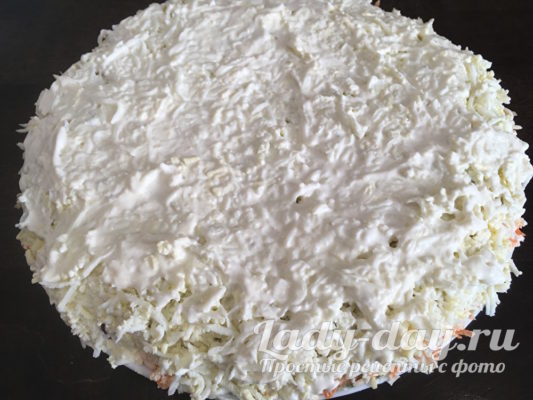 яичный слой