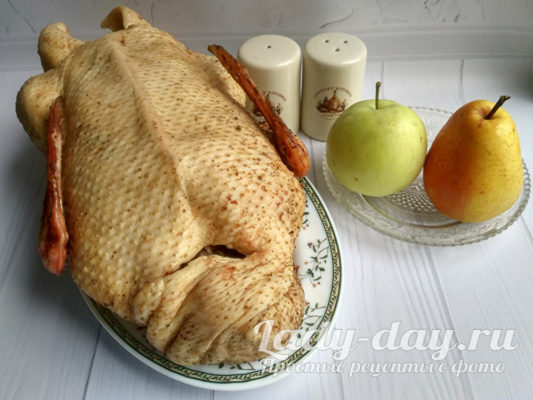 ингредиенты