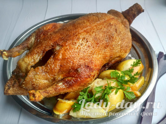 утка на блюде