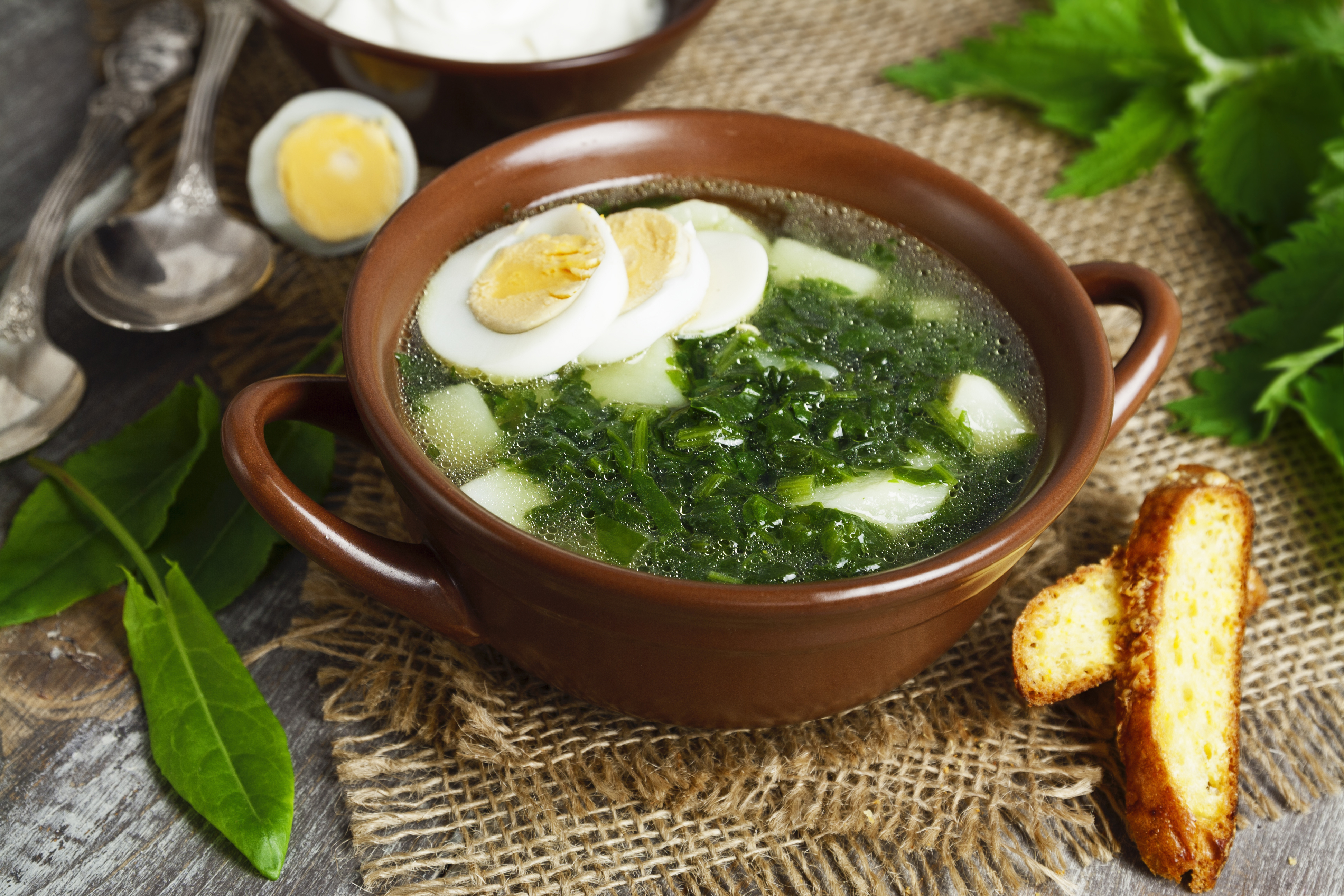 Щавелевый суп рецепт классический с яйцом пошаговый. Зелёный суп с щавелем. Щавель щи щавелевые щи. Зелёный борщ с щавелем. Зелёный борщ с щавелем и яйцом.