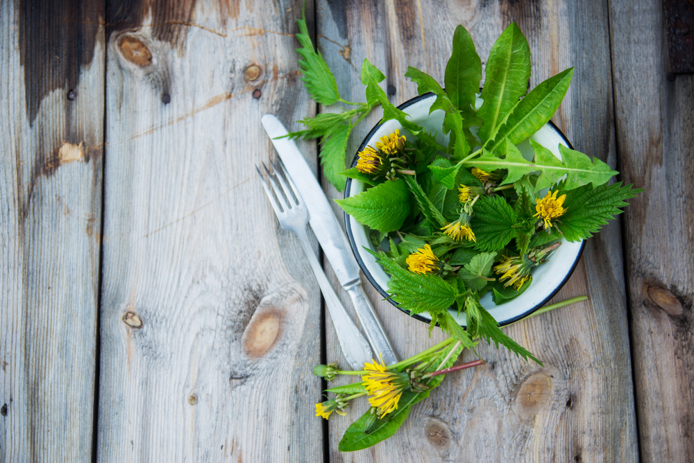 Свежая зелень для коктейля: цветы и листья одуванчиков, крапива