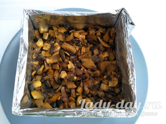 слой грибов