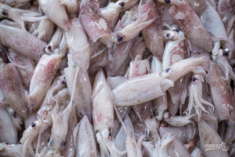 Свежие кальмары