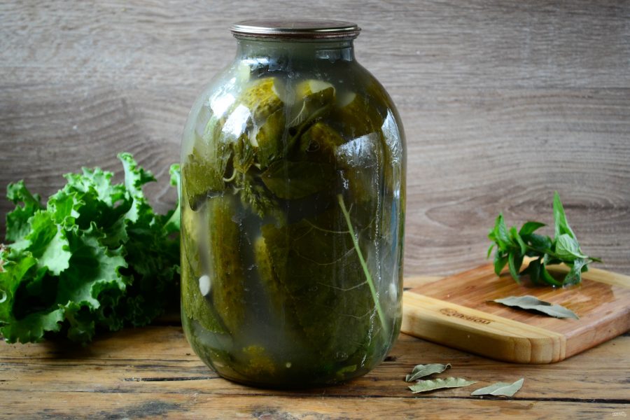 Засолка огурцов простым способом