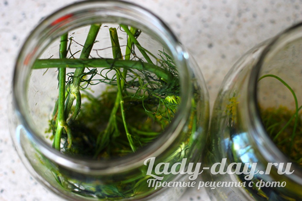 укроп в банке
