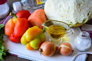 salat_s_kapustoi_i_pomidorami_na_zimu-610425