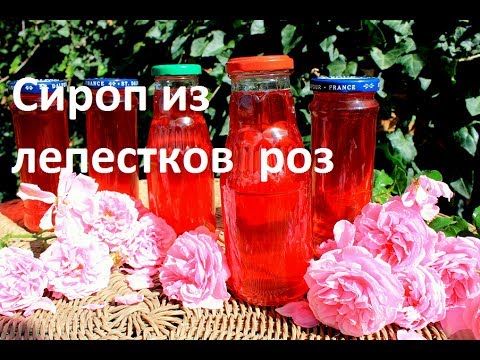 Видео рецепт Сироп из лепестков роз